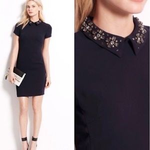 Anne Taylor Darling Navy Embellished Jewel Collar Dress (Size: 4)
